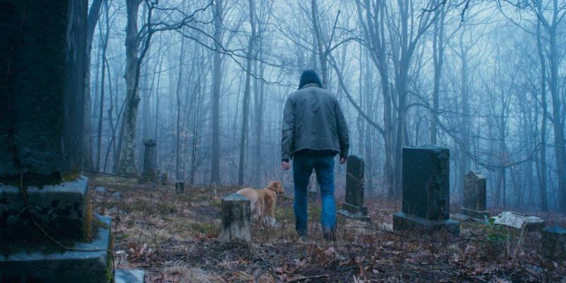 Good Boy (Vertigo Releasing)