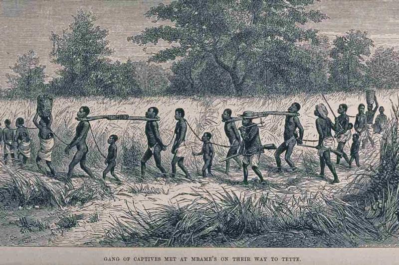 Erkek, kadın ve çocuk köleler, Mozambik’in Tete bölgesinde, boyun ve bileklerinden zincirlenmiş şekilde tarlalarda yürümeye zorlanıyorlar; 1865’te J.B. Zwecker’in çalışmasından J.W. Whymper tarafından yapılmış tahta gravür / Görsel: Wellcome Collection Erkek, kadın ve çocuk köleler, Mozambik’in Tete bölgesinde, boyun ve bileklerinden zincirlenmiş şekilde tarlalarda yürümeye zorlanıyorlar; 1865’te J.B. Zwecker’in çalışmasından J.W. Whymper tarafından yapılmış tahta gravür / Görsel: Wellcome Collection