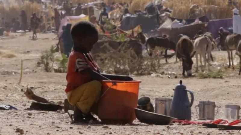 BM’ye göre El-Faşir, yardımlar kesildiği için kıtlıkla karşı karşıya. Sivillerin bildirildiğine göre hayatta kalmak için hayvan yemi ve gıda atıklarıyla besleniyorlar / Fotoğraf: UNICEF-Xinhua-PA BM’ye göre El-Faşir, yardımlar kesildiği için kıtlıkla karşı karşıya. Sivillerin bildirildiğine göre hayatta kalmak için hayvan yemi ve gıda atıklarıyla besleniyorlar / Fotoğraf: UNICEF-Xinhua-PA