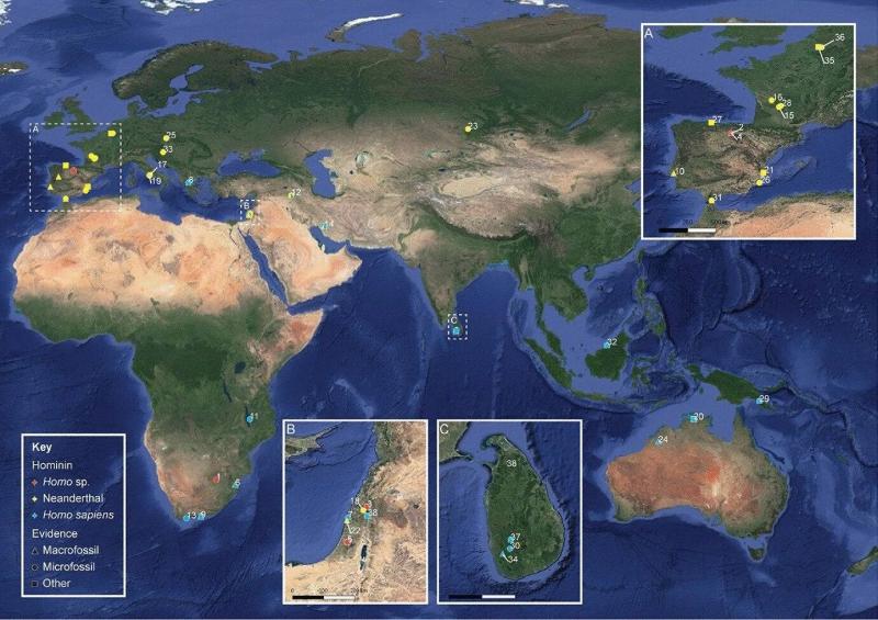 İşlenmiş gıda haritası