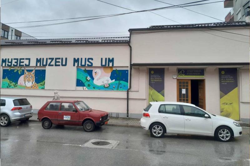 Struga’daki Doktor Nikola Nezlobinski Müzesi. Bölgenin doğal tarihini sergileyen önemli bir müze