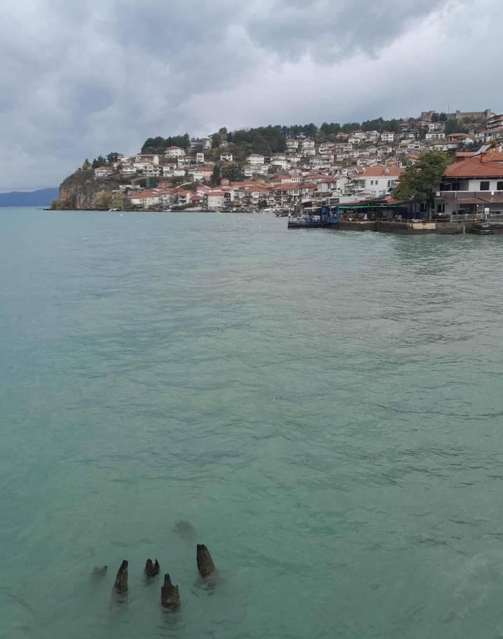 Ohrid (Gölü) yeşili