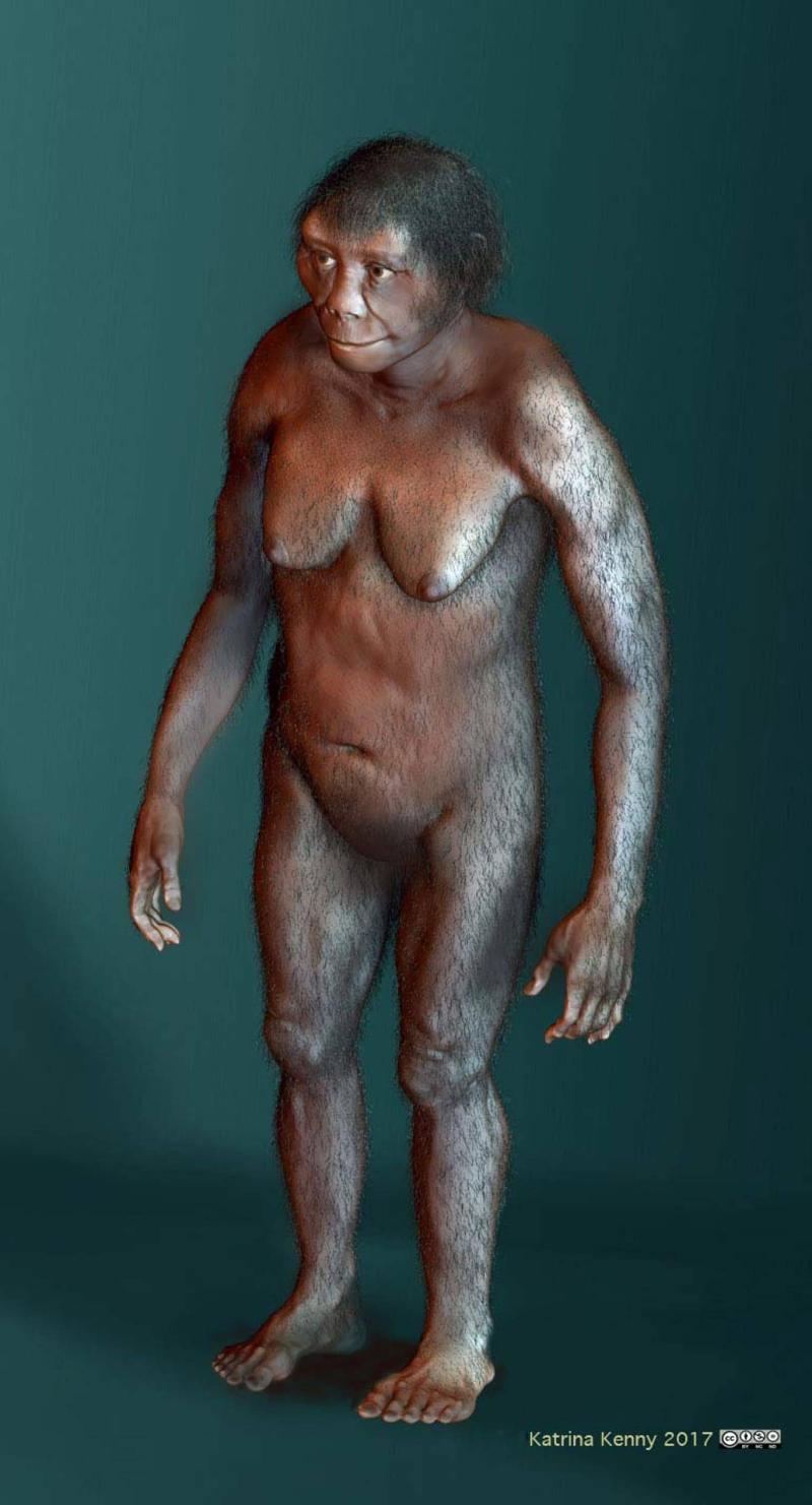 Homo floresiensis 
