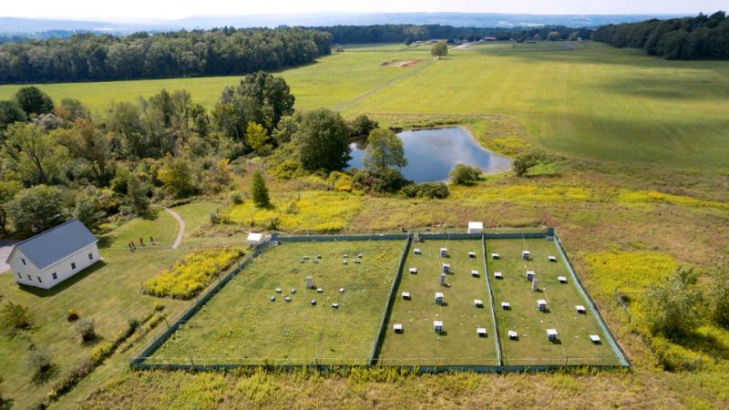 Farelerin bırakıldığı alan