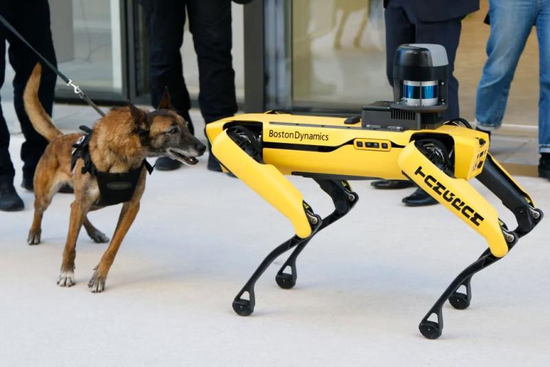 Boston Dynamics'in Spot robotu (AFP)