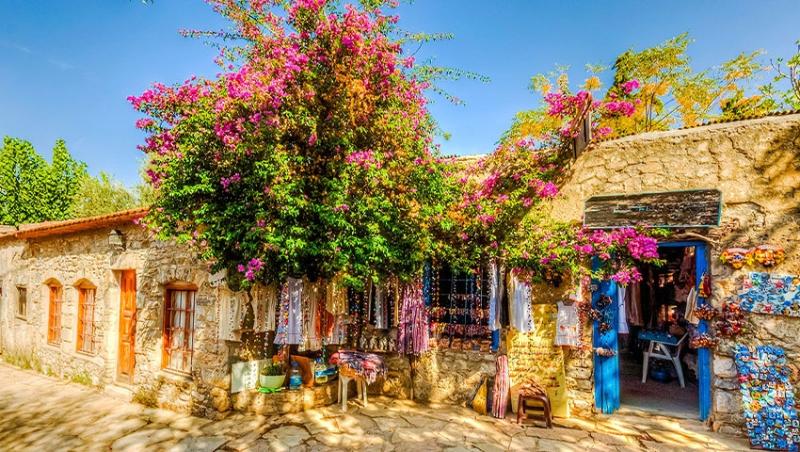 Datça Badem Çiçeği Festivali​