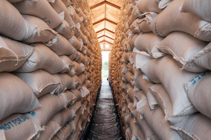 Güney Sudan'ın Maban kentindeki bir depoda, Dünya Gıda Programı'na ait binlerce torba ince mısır dağıtılmaya hazır durumda, 20 Ağustos 2025 / Fotoğraf: AFP