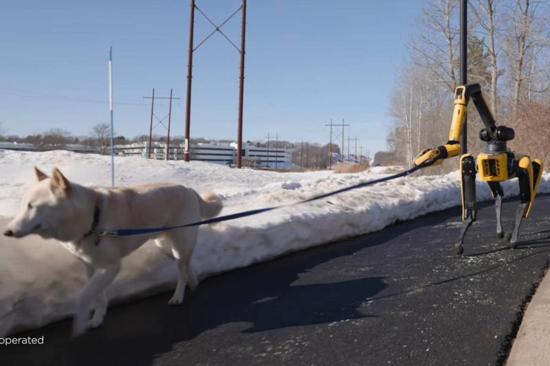 Spot (Boston Dynamics)