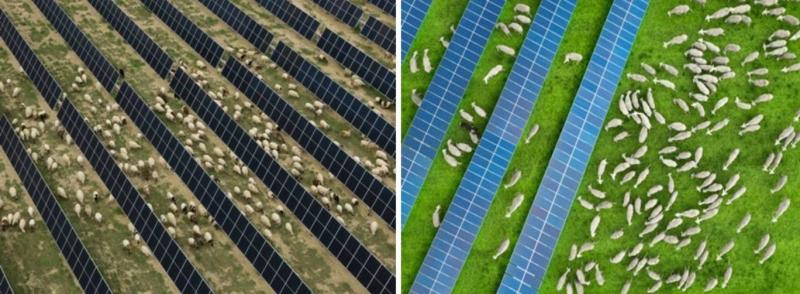 Şekil 5. Tarımsal fotovoltaik uygulamaları