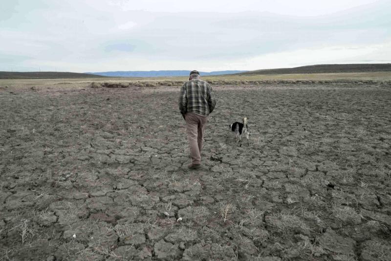 ABD’nin Colorado eyaletinde kuraklık / Fotoğraf: AP
