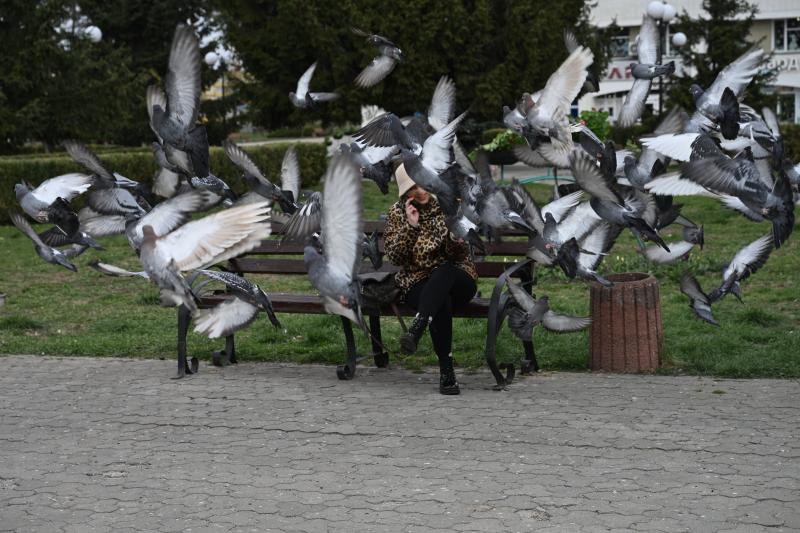 Kuşlar (AFP)