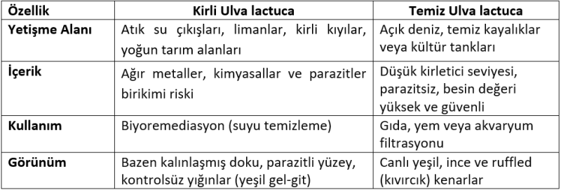 Tablo 1. Kirli Ulva Lactuca ve temiz Ulva Lactuca farkları