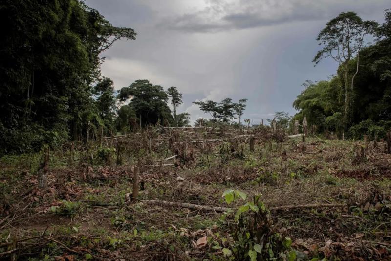 Fotoğraf: Guerchom Ndebo/AFP