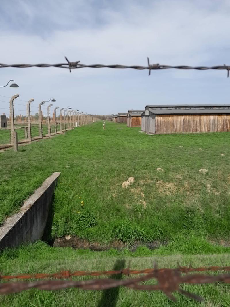 Auschwitz-Birkenau3