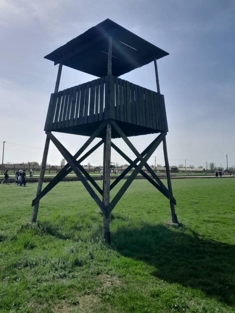 Auschwitz-Birkenau4