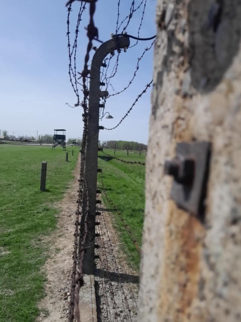 Auschwitz-Birkenau5