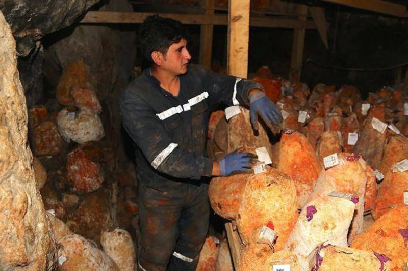 Divle Obruğu'nda doğal mağara koşullarında olgunlaştırılan peynir, Anadolu'nun dünya çapında markalaşabilecek üretim hikâyelerinden biri olarak gösteriliyor / Fotoğraf: AA