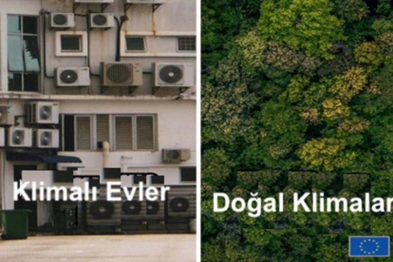 Şekil 4. Ağaçlar doğal klima görevi görür