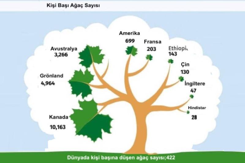 Şekil 2. Dünya'daki bazı şehirlerde yeşil alan