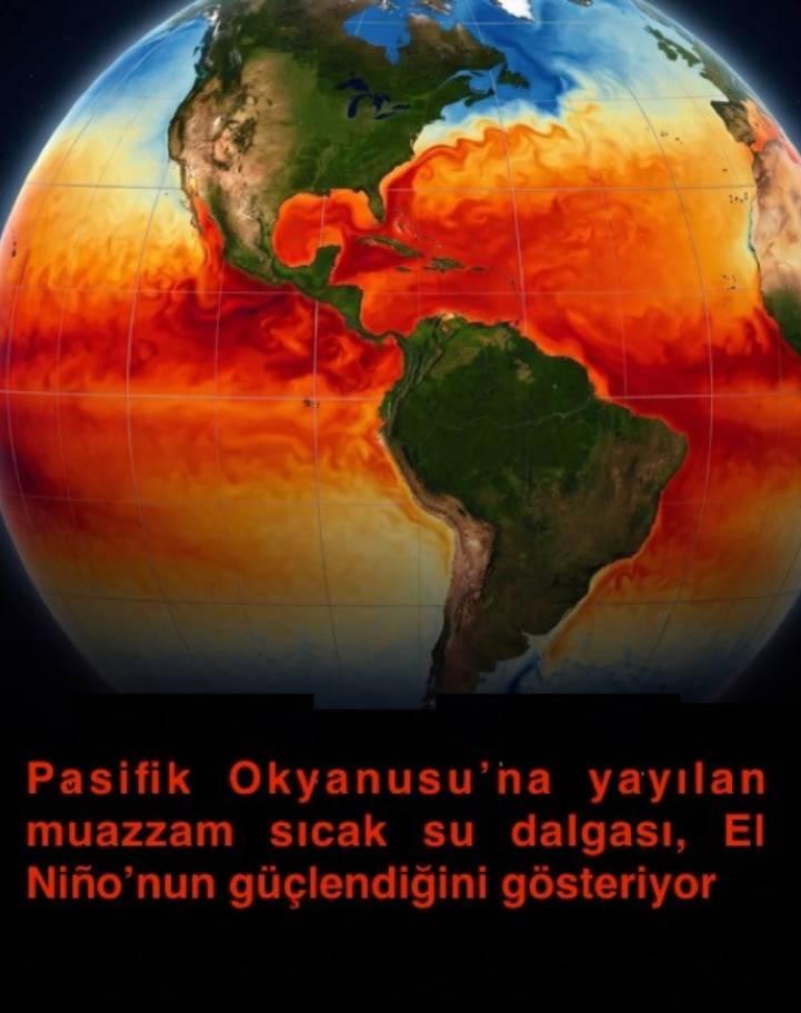 Şekil 2. Pasifik Okyanusu'na yayılan muazzam sıcak su dalgası