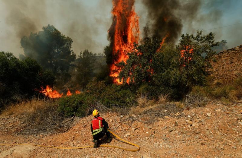 İspanya'da yangınlar (Reuters)
