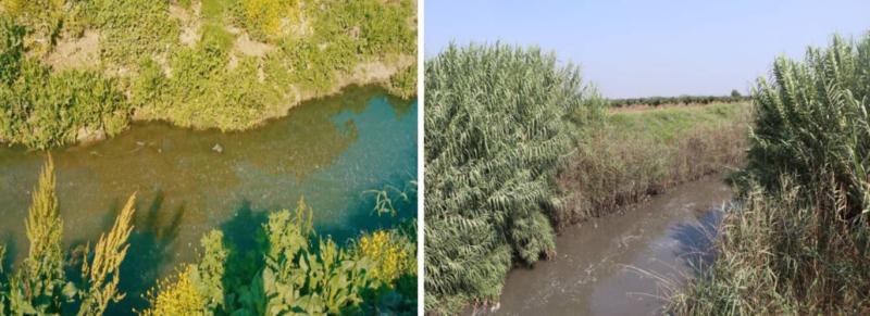 Şekil 2. Adana’da sulama kanalları mikroplastik akıyor