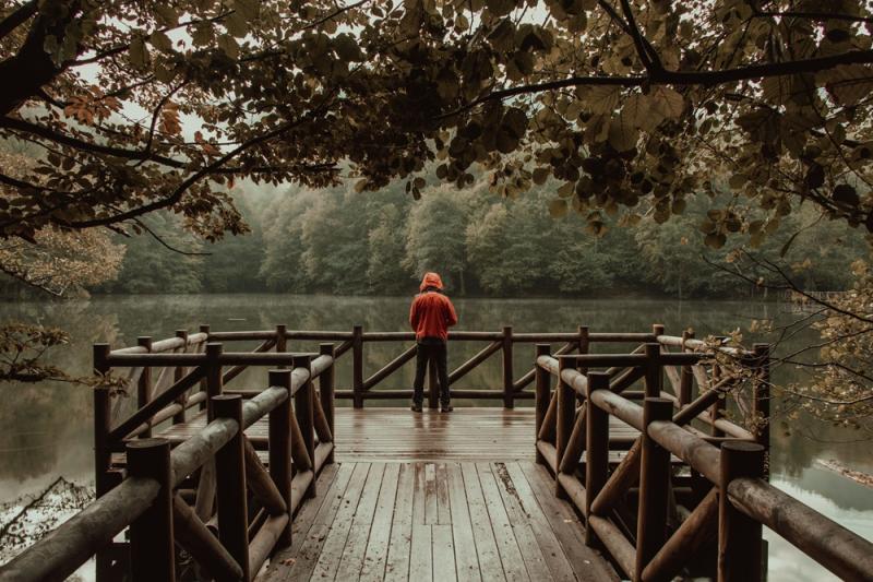 Tek başına yaşayıp bu tercihinden memnun olanlar olduğu gibi, bir ailesi veya yakın bir sosyal ağı olmadan yaşayanlar da vardır / Fotoğraf: Pexels