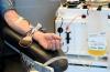 Hollanda sürü bağışıklığından çok uzakta Kan bağışı yapanların yüzde 5