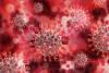 Çinli kadının koronavirüs testi iyileştikten aylar sonra yeniden pozitif çıktı