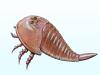 300 milyon yıl önce yaşamış dev bir deniz akrebi türü