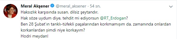 meral akşener erdoğan tehdit yanıt tweet.jpg