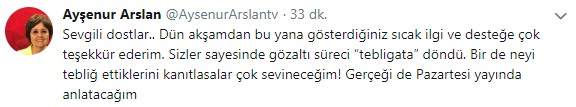 ayşenur arslan gözaltı tweet .jpg