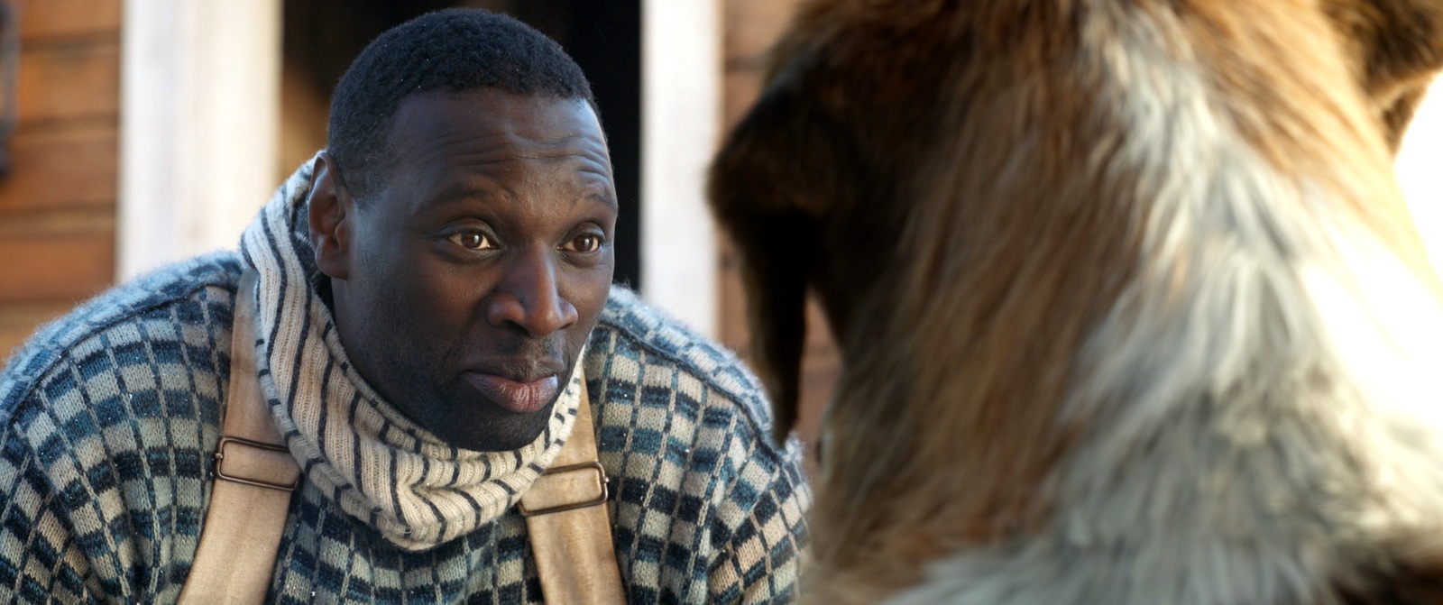 The Call of the Wild (6).jpg