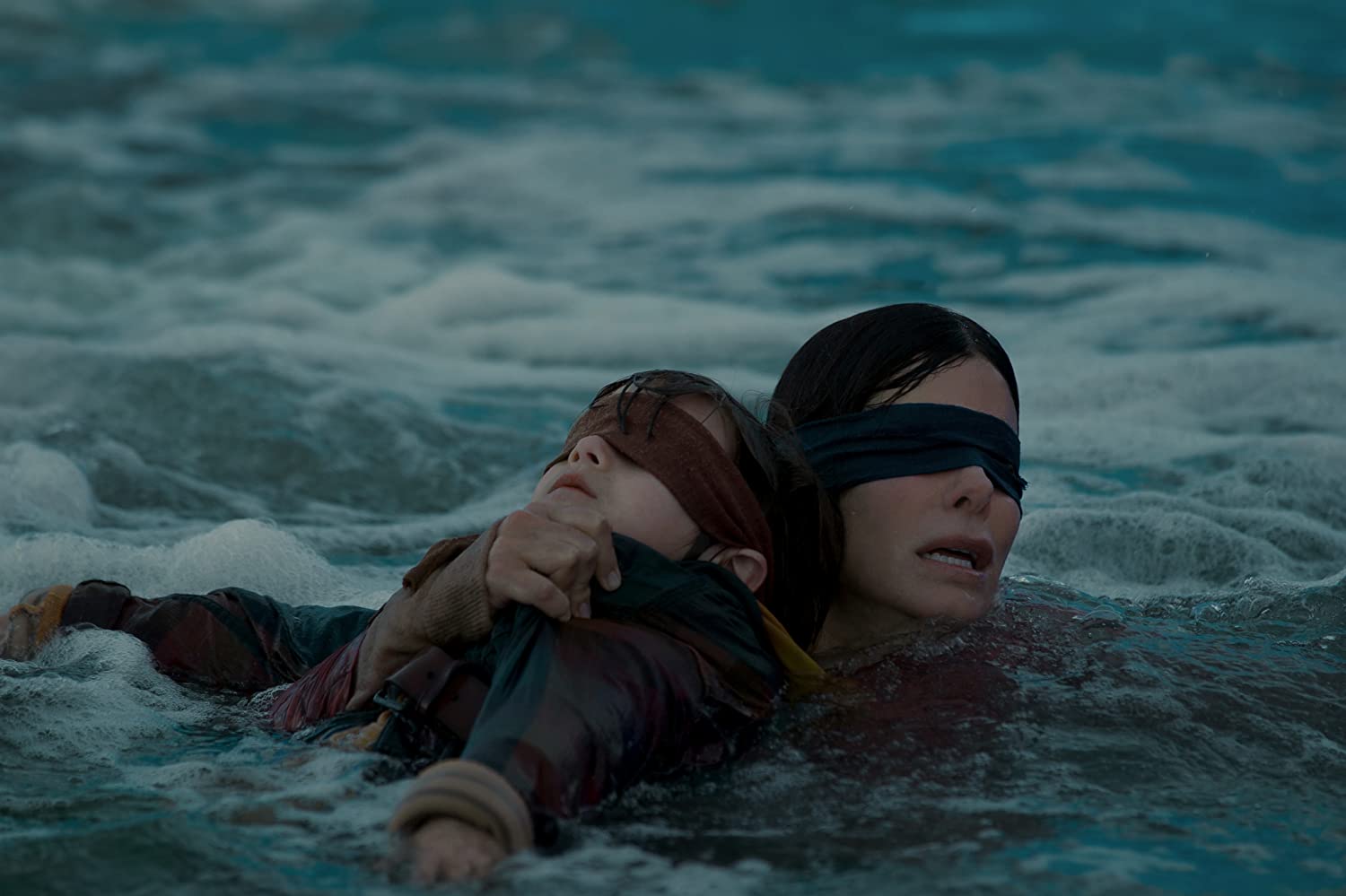 bird box.jpg