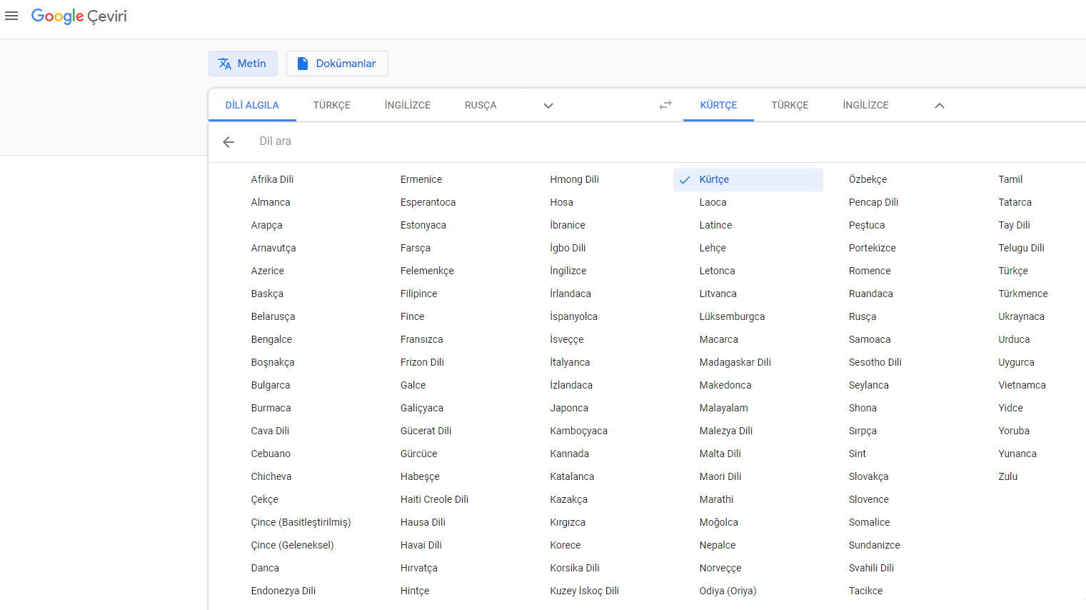 Google Kürtçe.jpg