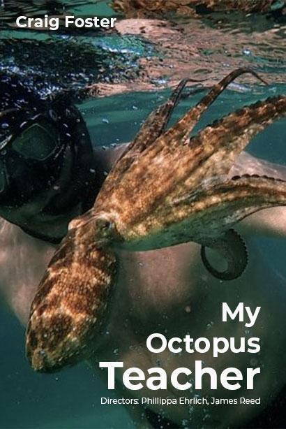 My Octopus Teacher.jpg