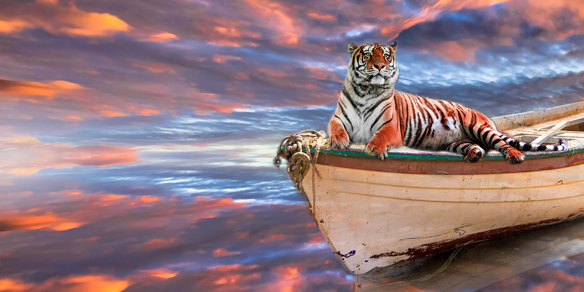 Life of Pi (20).jpg