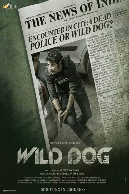 Wild Dog.jpg