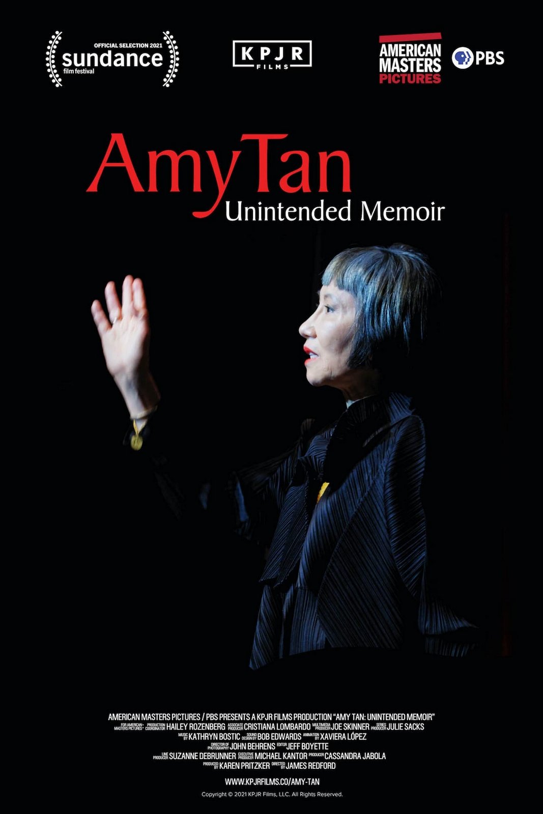 Amy Tan - Unintended Memoir.jpg