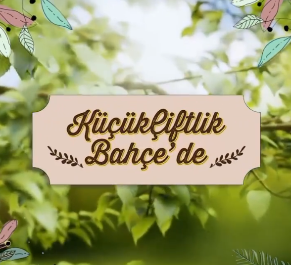 KüçükÇiftlik Film Kulübü.png