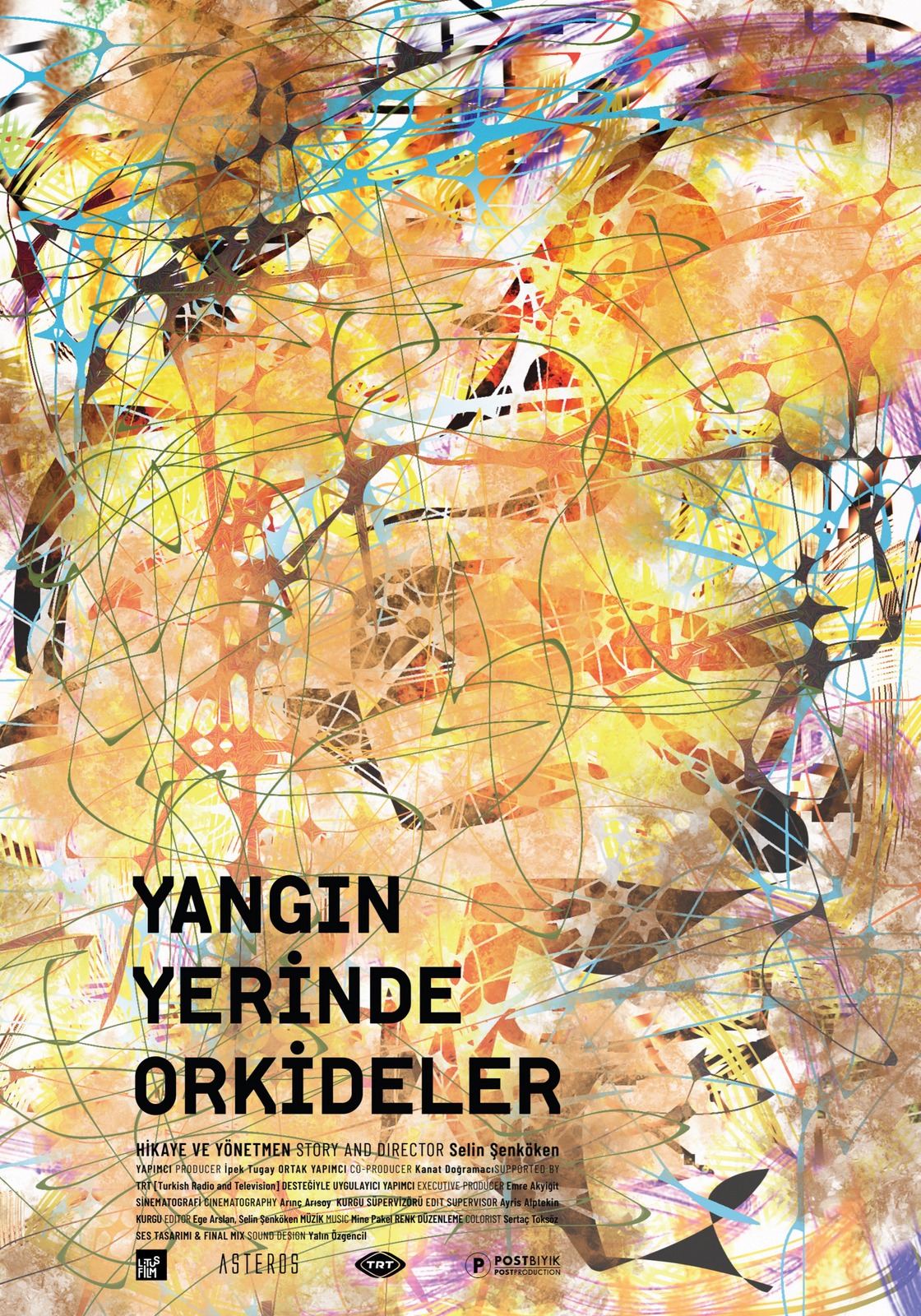 Yangın Yerinde Orkideler.jpg