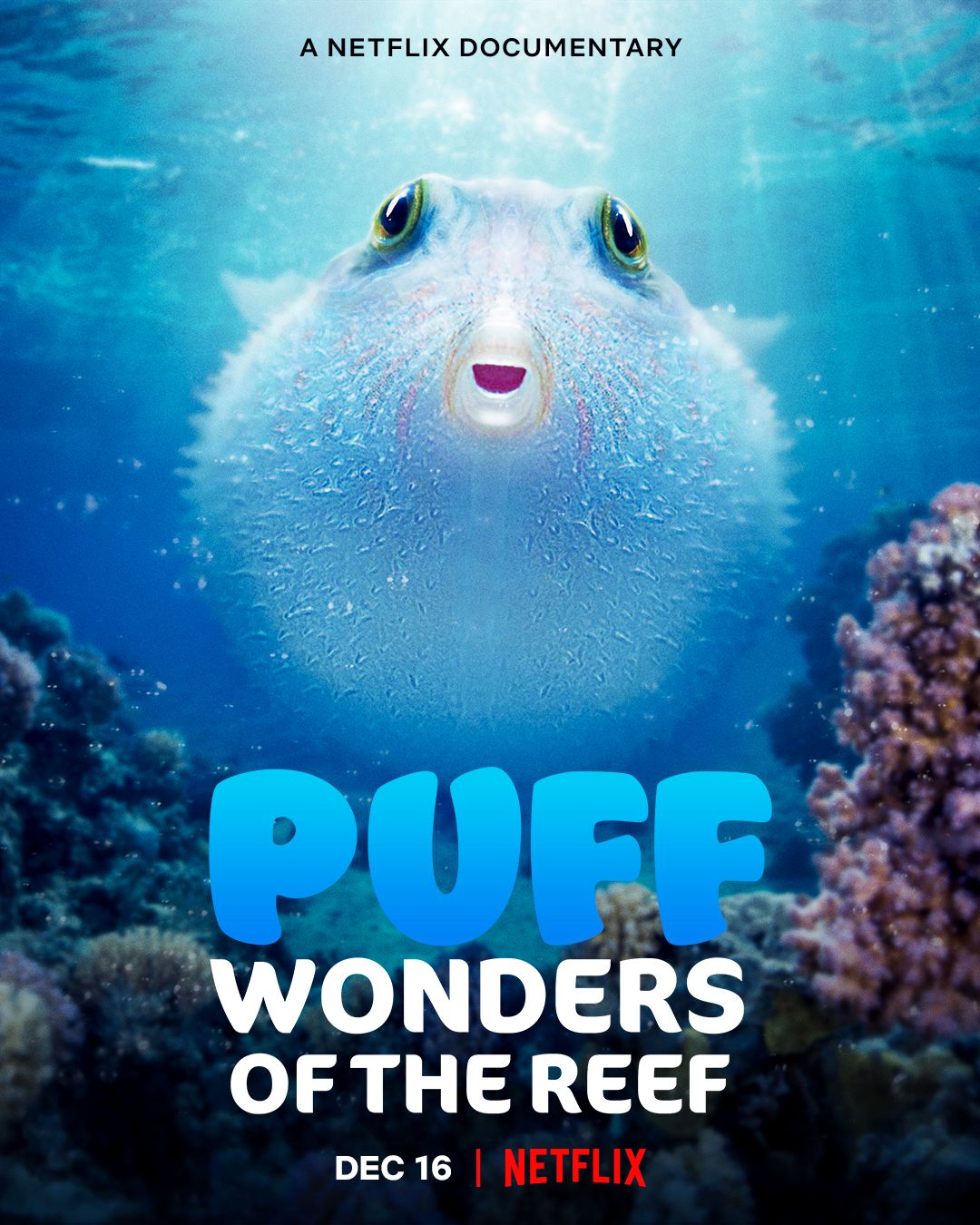 Puff Wonders of the Reef.jpg