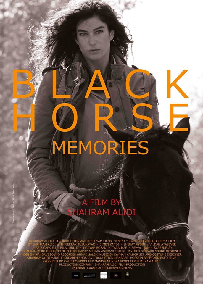 Black Horse Memories (a).jpg