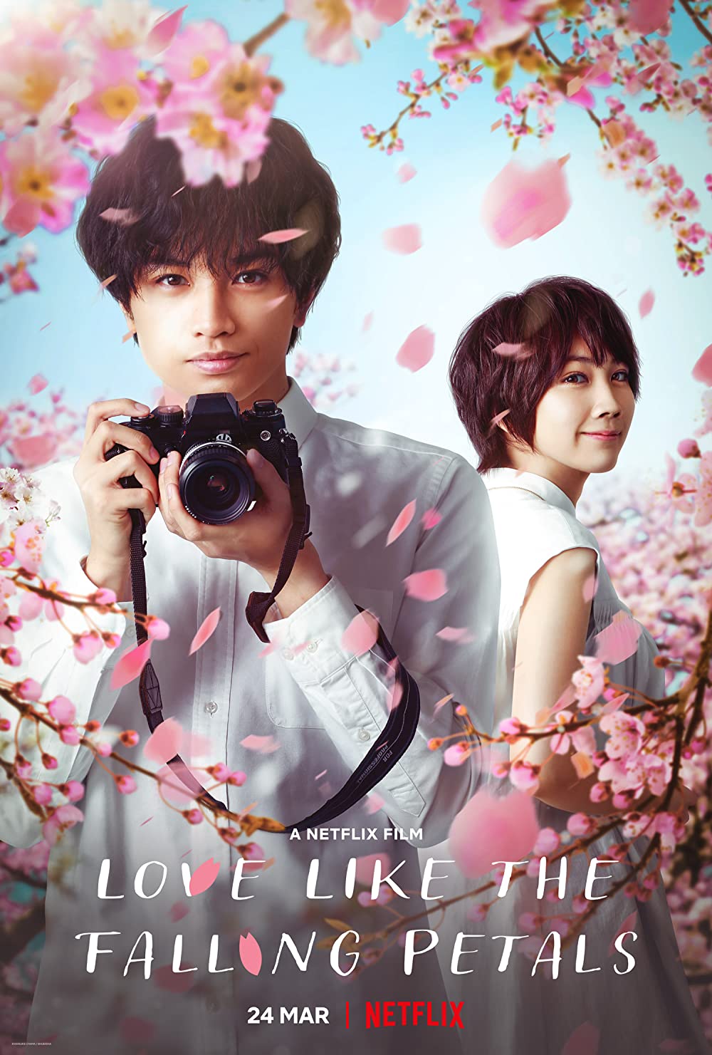 Love Like the Falling Petals.jpg