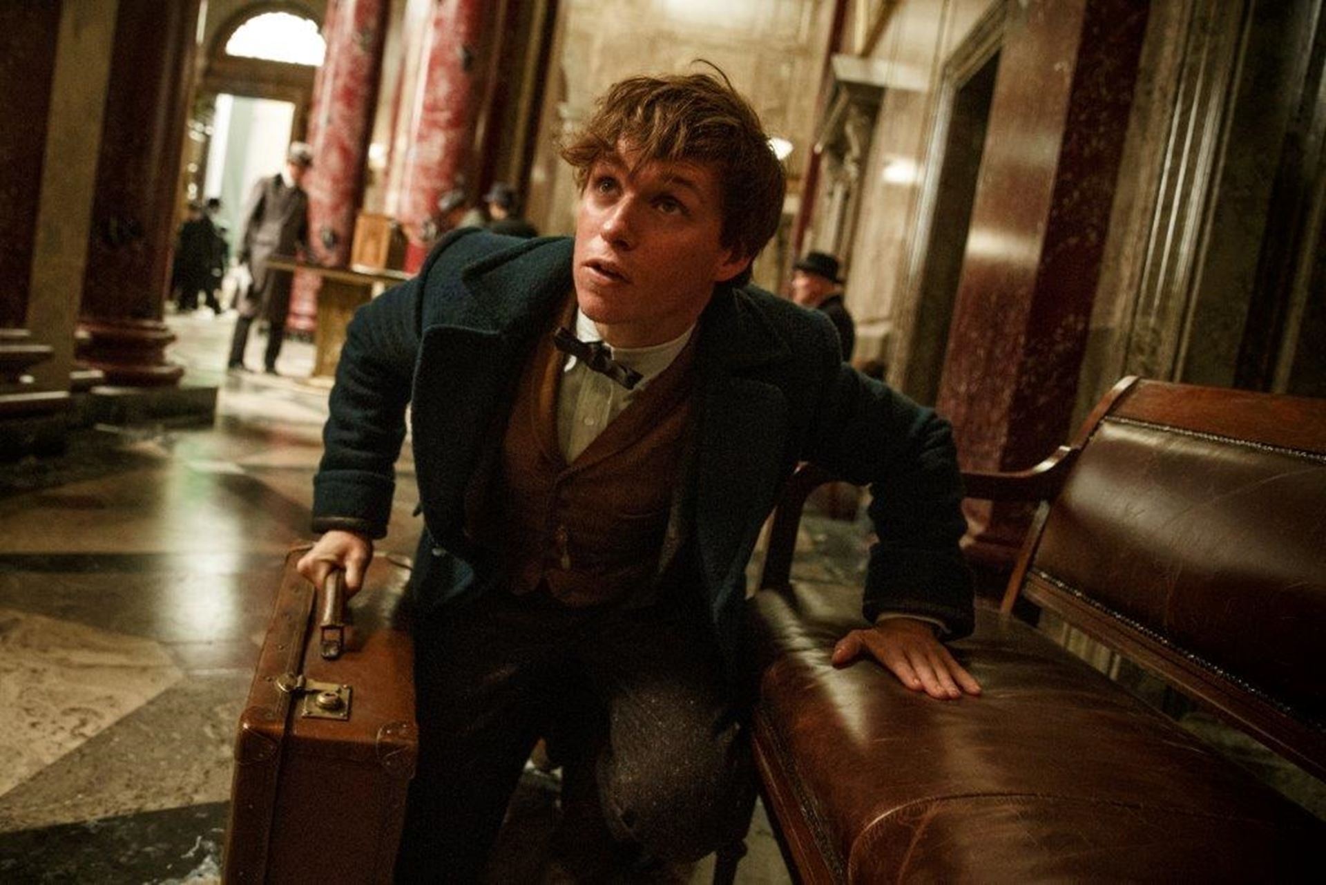 Fantastic Beasts and Where to Find Them (14).jpg