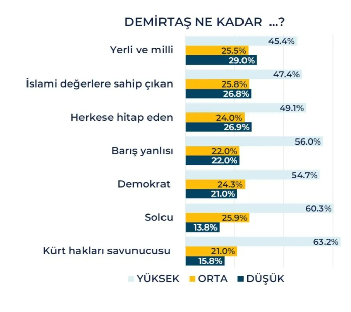 demirtas3