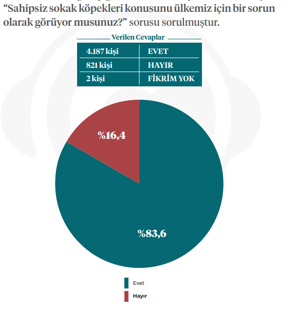 Ekran görüntüsü 2024-05-24 201432.png