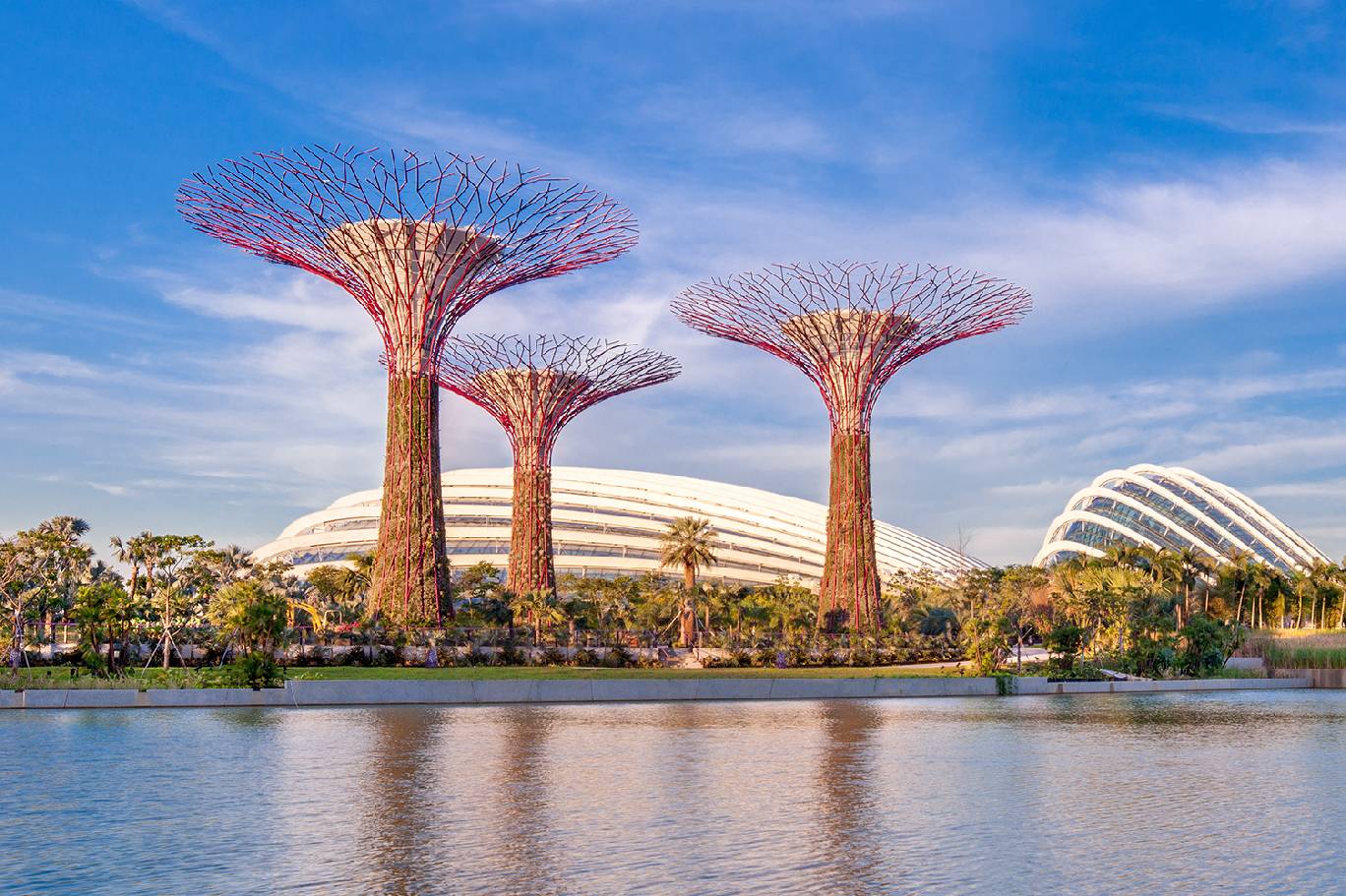 Gardens By The Bay2
