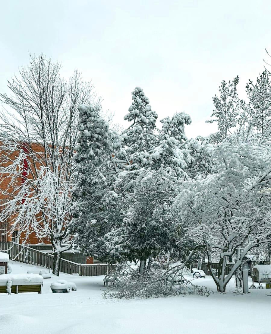 Bahçelerde dört mevsim