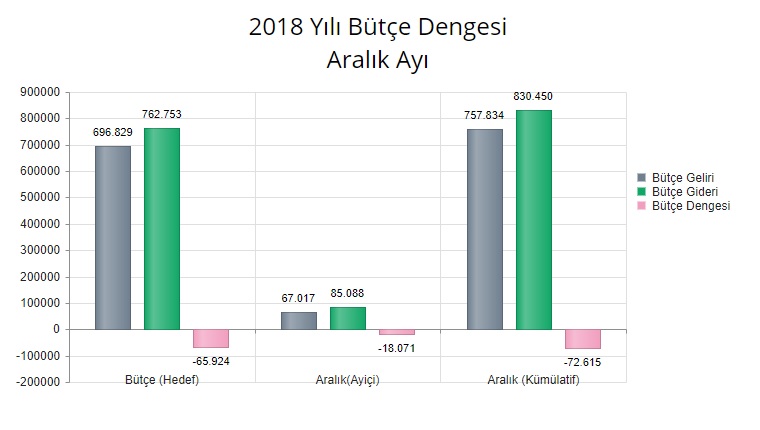 bütçe.jpg